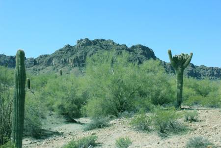 San Tan Mountain Regional Park | Visit Mesa